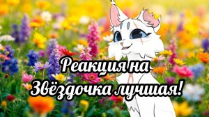 Реакция на Звёздочка Лучшая!