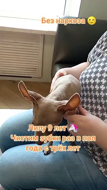 Лилу 9 лет  Чистим зубки раз в пол года с трёх лет.
