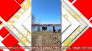 20.04.2026 Мировые новости