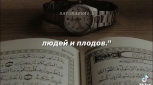 1000002986.mp4
