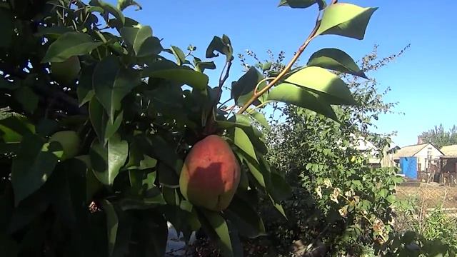 23 09 18 Посиделки под песни Григория Лепса!