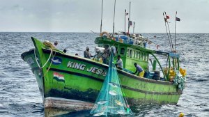 Оооо!! Седьмой день: мы остались в открытом море и поймали много тунца