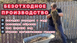 Чистота - залог здоровья! Наводим порядок в саду, обрезаем кусты и кормим.