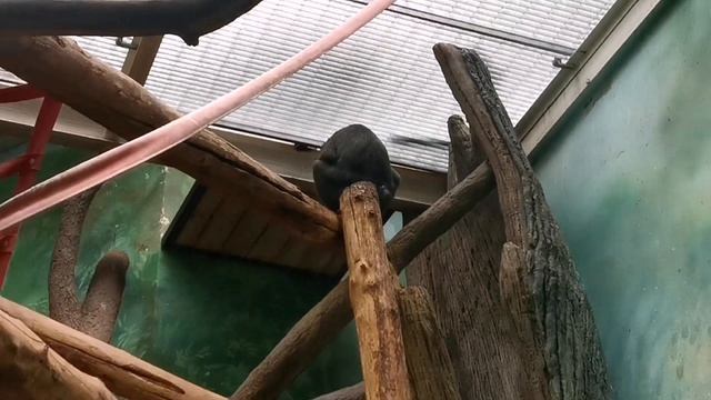 В Московском зоопарке!!!