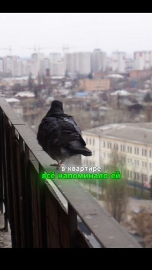 Аудиорассказ: Сын продал квартиру матери и выгнал её на улицу… Но наследство всё изменило