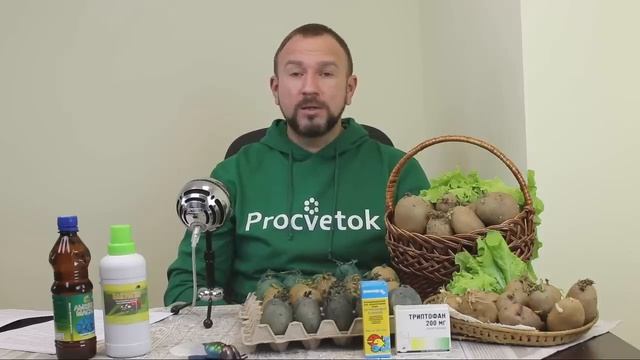 Особенности и секреты подготовки картофеля к посадке