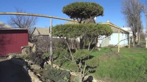 ГОРЕ-ПРОДАВЦЫ И ГОРЕ-ПОКУПАТЕЛИ НА АВИТО! ЗАБЫЛ КОГДА ТУТ БЫЛ!ПОХОД НА ВБ! ЧТО КУПИЛИ!!