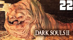 АЛЧНЫЙ ДЕМОН (22) ► Dark Souls 2