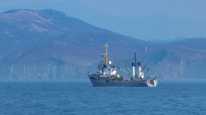 Рыболовецкое судно с россиянами задержали в Намибии