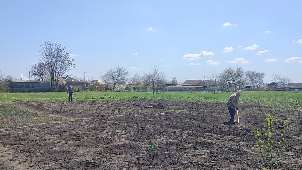 Кланяемся матушке Земле. Жизнь станичная на пенсии.
