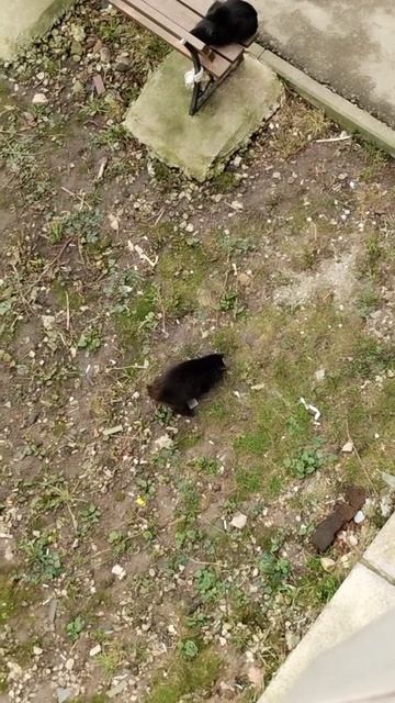 PXL_20260416_151446011