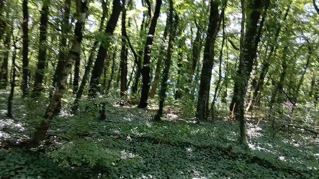 После отметки 3500 тропа здоровья опять идёт в гору в Архипо-Осиповке на Чёрном море