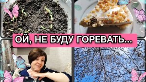 17-04-2026 Сборы на работу❤️ Мои цветы растут🌷 Ем торт🍰 Апрельское небо🙂 Купила билеты с кешбеком