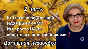 2 часть. Кто назвал оп@рышей НАХЛЕБНИКАМИ❓️Им просто НАДО общаться с родственниками❗️