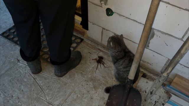 Вечерняя прогулка. Соревнование. Ижевск. 4 часть.