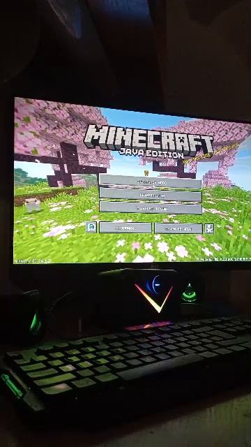 Minecraft