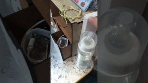 вторая часть потом как я готовлю рыжика ко сну