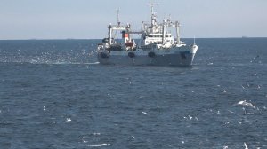 КОРРУПЦИЯ В ПОРТУ