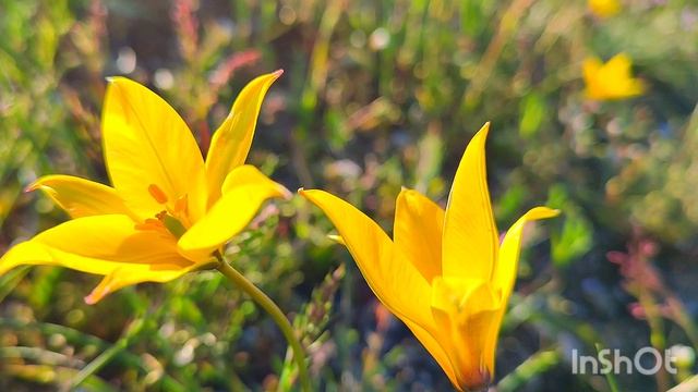 Джан -Кутаран в апреле