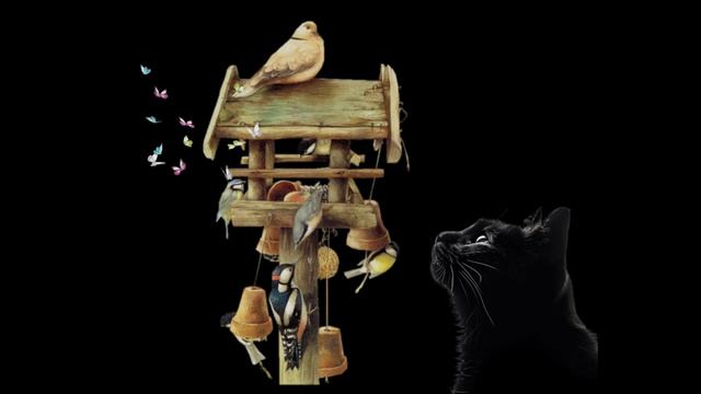 Кот и пение птиц