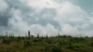 Алексей Архиповский 🦊