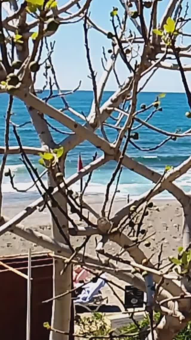 Аланья.Турция 2026.