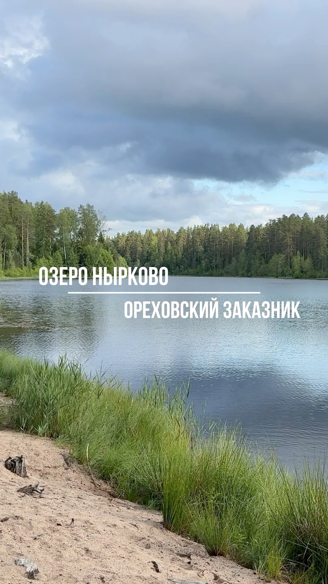 Озеро Нырково, Ореховский заказник