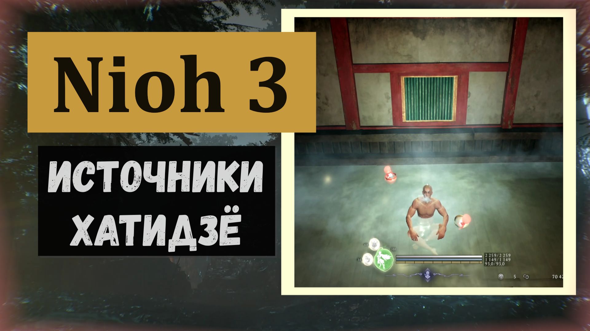 NIOH 3 Горячие источники в Хатидзё