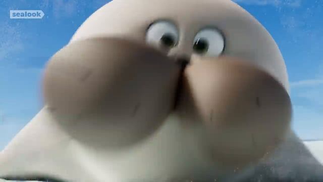 Морские Котики SEALOOK 21