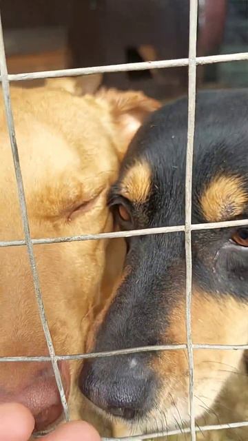 13 апреля 2026 г.