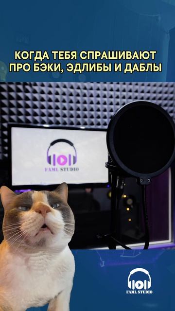 Когда тебя спрашивают про бэки, эдлибы и даблы