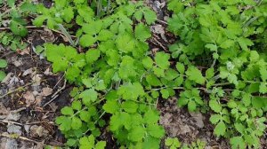 Апрель набирает обороты.