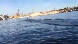 Двухтактный лодочный мотор тест драйв лодочного двигателя M50FES 50 л с в заливе Золотой Рог