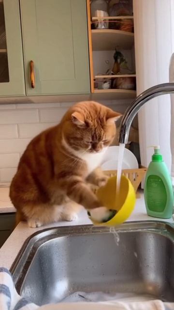 ВАСЯ КУЛЬТУРНЫЙ КОТИЧКА нейросеть