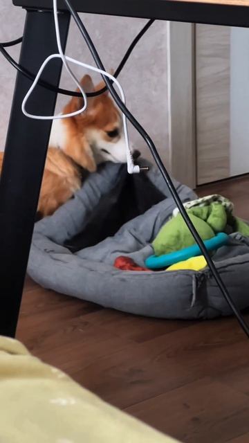 Моржик каждый день  Переходи и смотри!