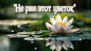 "Не рви этот цветок" - Ingvar Песня для Души!