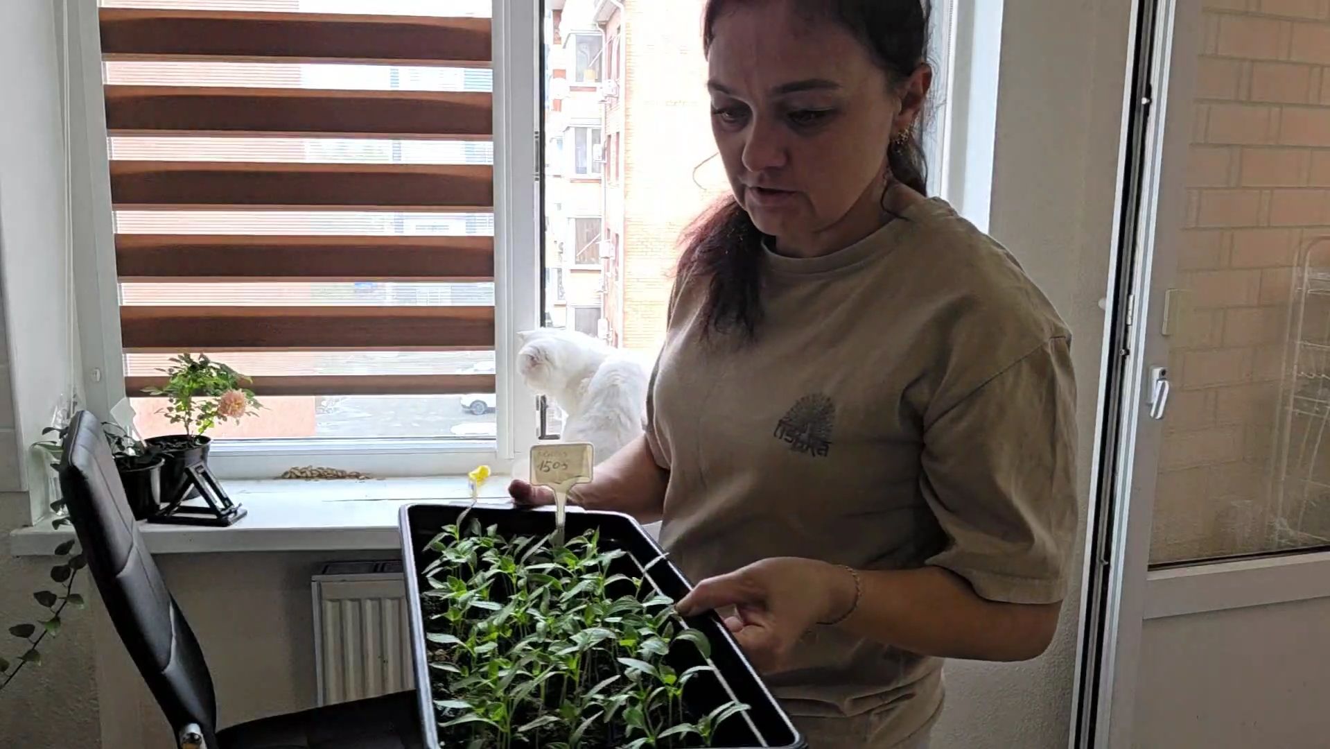 335 ЖИТЬ ПО СОВЕСТИ. ЗАКАЗАЛА  ПЛАТЬЕ, СКОРО ВЫПУСКНОЙ. СНЕГ НА КУБАНИ В АПРЕЛЕ.