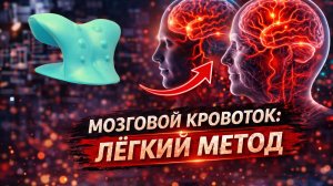 Как легко улучшить мозговой кровоток в молодом и зрелом возрасте!