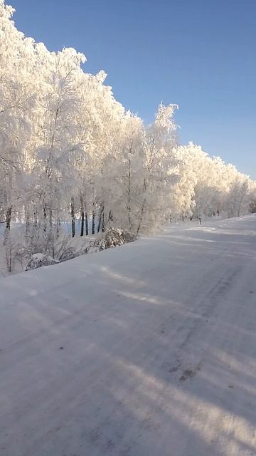 зимняя сказка