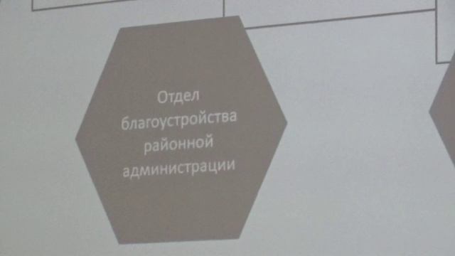 Лекция   Деревья  в городской среде.Гижицкая С.А.  Новосибирск, Советский район