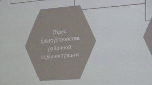 Лекция   Деревья  в городской среде.Гижицкая С.А.  Новосибирск, Советский район