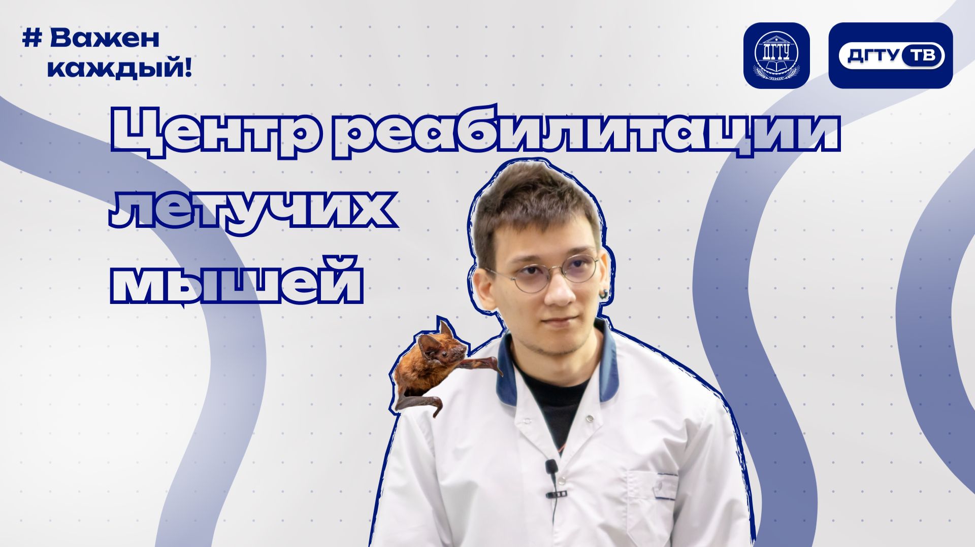 Центр реабилитации летучих мышей ДГТУ