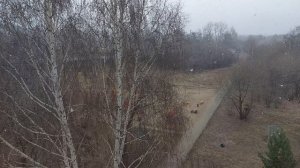 как обьяснить апрелю,что он весна17.04. 26