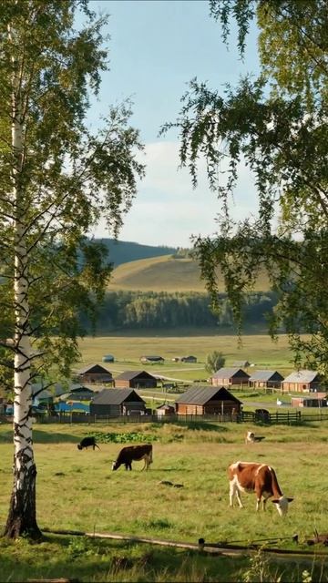 Сказочная деревня: жизнь на природе #деревня #природа #селожизнь