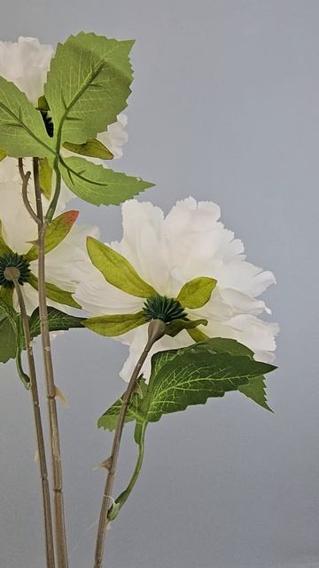 Ветка пиона Джессика белый и зеленый