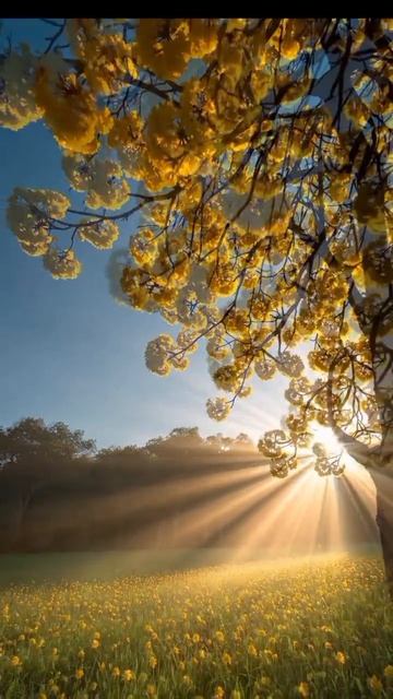 katyboro видеооткрытка      рекомендации врек топ врекомендации