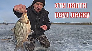РЫБАЛКА НА КРУПНОГО КАРАСЯ ЗИМОЙ