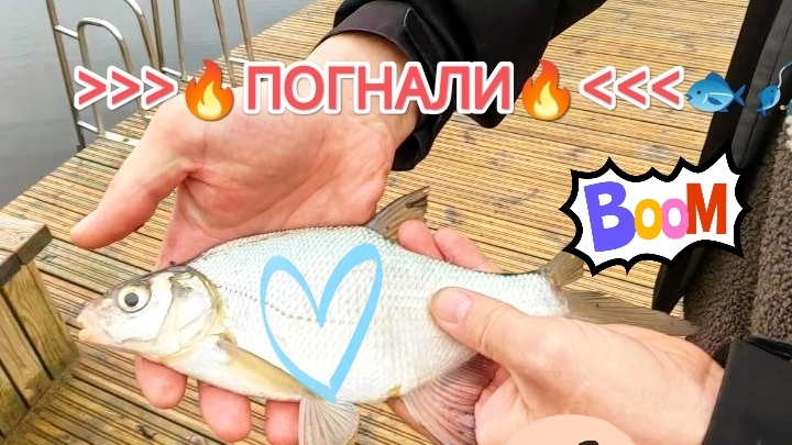 👉🔥🔥🎣🐟МОРМЫШИНГ! Весна 2026! Наконец проснулась! 🐟🎣🎣🎣⚠️❤️