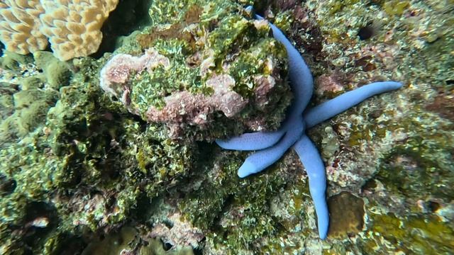 Тайские острова. mp4