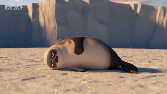 Морские Котики SEALOOK 81